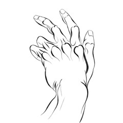 hand drawing illustration 