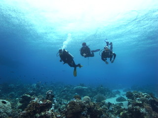 Buddy group of Scuba Diver, 3 three divers diving, in crystal clear water in Labuanbajo, Flores,...