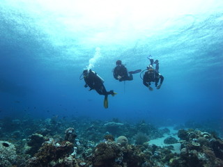 Buddy group of Scuba Diver, 3 three divers diving, in crystal clear water in Labuanbajo, Flores, Indonesia