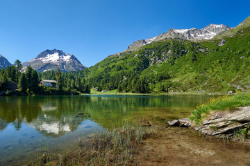 Lägh da Cavloc, Bergsee, Wasserspiegelung, Engadin, Bergwald, Restaurant Cavloccio, Gebirge mit...
