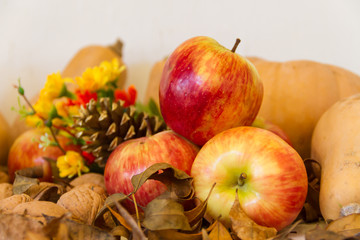 Naklejka na ściany i meble Autumn harvest composition with pumpkins and apples