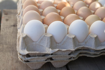 chicken eggs in the tray