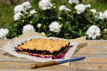 Honeysuckle crumble cake on vintage wooden table in blooming summer garden. Homemade streusel berries pie. Breakfast lunch outdoors
