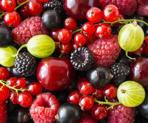 Ripe blackberries, blackcurrants, cherries, red currants, raspberries and gooseberries. Mix berries and fruits. Top view. 