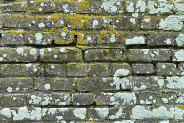 Old Brick Wall with Moss