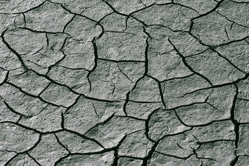 the very dry cracked earth gray