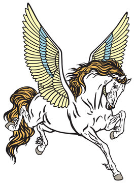 Pegasus winged divine horse . Tattoo style vector illustration