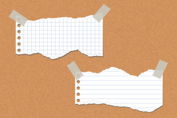 Two torn lined and square papers attached with adhesive tape to a cork board