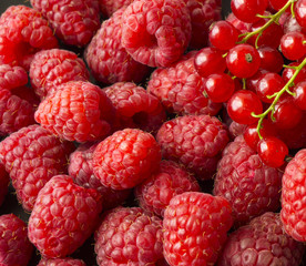 Background of raspberries and red currants. Fresh berries closeup. Top view. Background of red...