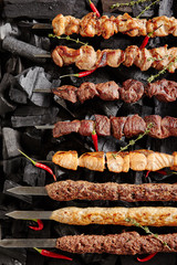 Set of Shish Kebabs Barbecue Shashlik on Charcoal Background