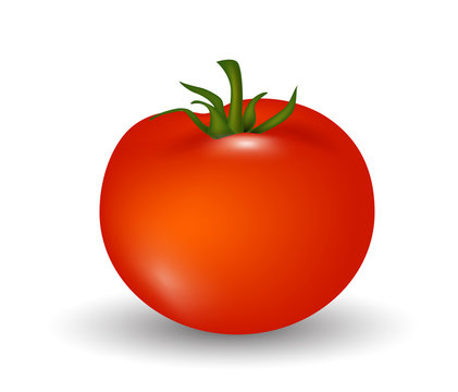 Tomato Cartoon Images – Browse 86,715 Stock Photos, Vectors, and Video |  Adobe Stock