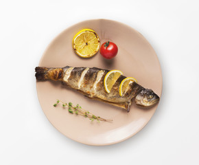 Whole grilled sea bass isolated on white background