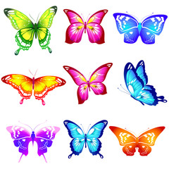 Obraz na płótnie Canvas beautiful color butterflies,set, isolated on a white