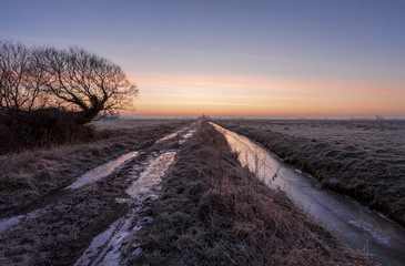 Dawn on Tealham Moor