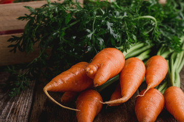 Fresh carrots on rustic table