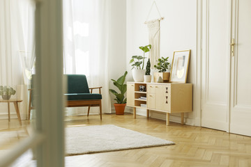 Plants on wooden cupboard with poster in white loft interior with door and green armchair. Real photo
