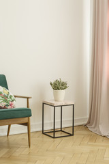 Lamp next to wooden cabinet with plant in white living room interior with poster. Real photo