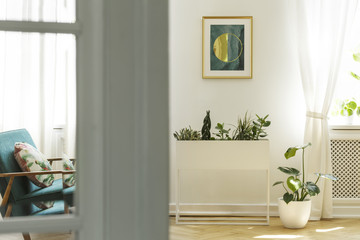 Poster on white wall above plants in bright living room interior with green armchair. Real photo