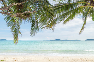 Fototapeta na wymiar Green palm tree leaves on the tropical beach with blue sea