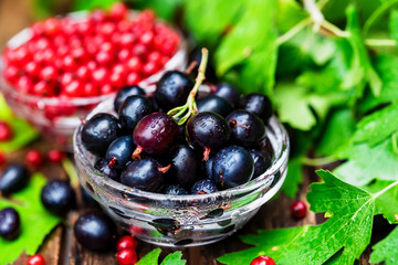 Ripe redcurrant and blackcurrant in glass bowls
