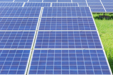 Obraz premium Close up rows array of polycrystalline silicon solar cells or photovoltaics in solar power plant turn up skyward absorb the sunlight from the sun 