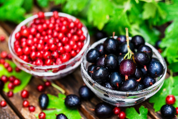 Ripe redcurrant and blackcurrant in glass bowls