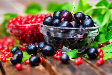 Ripe redcurrant and blackcurrant in glass bowls