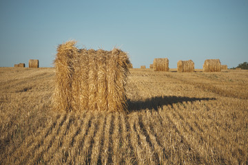 Hay bale on field with wheat straw and sky in the farm land at summer.