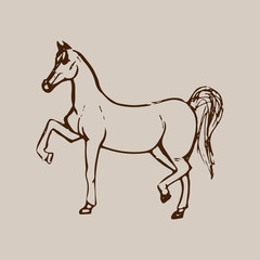 Hand drawn sketch of horse. Brown line drawing isolated on beige background. Vector animal illustration.