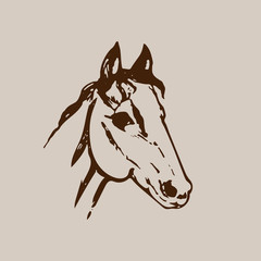 Hand drawn sketch of horse head. Brown ink line drawing isolated on beige background. Mustang portrait. Vector animal illustration.