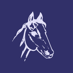 Hand drawn sketch of horse head. Lline drawing. Blue colors. Mustang portrait. Vector animal illustration.
