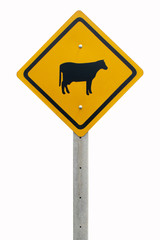 traffic signs warning cow cross road clipping path