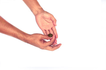healthy adult hand holding a coin to do betting  by throwing on white background isolated
