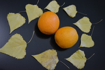Fresh fruits, two orange oranges with yellow poplar leaves on a glossy black background