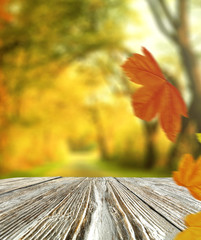 Naklejka na ściany i meble Table background and autumn time 