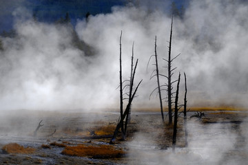 Geysers and Steam Rising in Yellowstone National Park