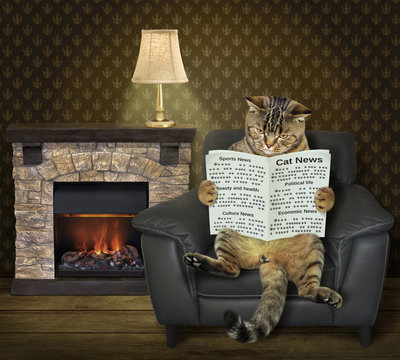 The cat is sitting in the leather armchair and reading a newspaper near a fireplace.