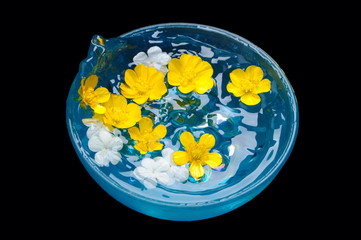 Splashing Water in Blue Bowl With Flowers