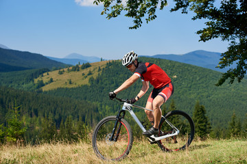 Fototapeta na wymiar Strong athletic sportsman in professional sportswear cycling a bicycle in high grass under big green tree branch on beautiful mountains summer background. Active lifestyle and extreme sport concept