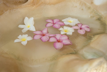 Floating flowers This tranquil image found in a Spa entrance transmits harmony and tranquility