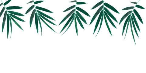 Obraz na płótnie Canvas bamboo leaves isolated on white background ,bamboo leaf