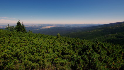 Wzgórza porośnięte kosodrzewiną w Karkonoskim Parku Krajobrazowym - ochrona przyrody poprzez tworzenie jej rezerwatów