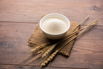 Raw unprepared semolina flour also known as Rava powder in Hindi in bowl or spoon. close-up...
