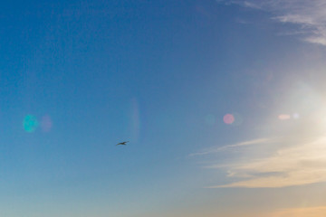 Beautiful summer sunset with clouds over the sea