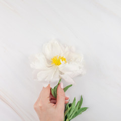 White peony flowers on marble background
