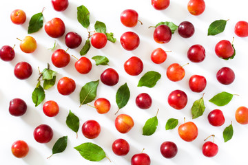 Red and yellow plums pattern on white background

