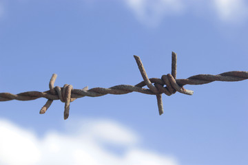 Single rusted barbwire