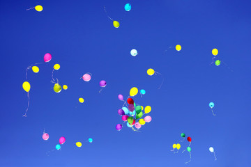 many multicolored balloons flying in the blue sky