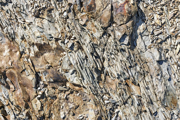 Natural texture of the rock. Background.