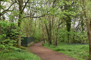 sendero